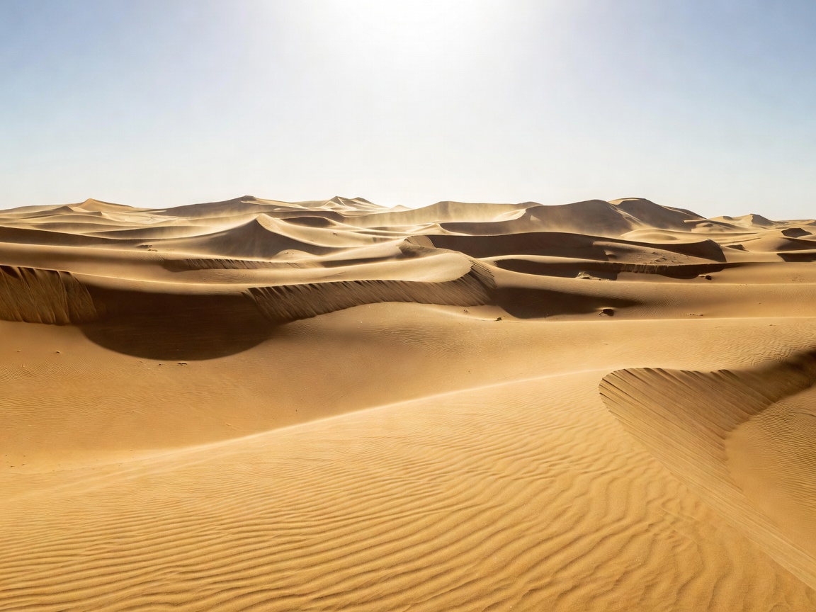 Sahara desert dune field during high noon heat